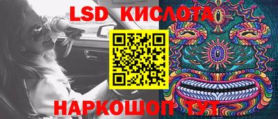 прущие грибы Лесосибирск