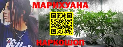 прущие грибы Лесосибирск