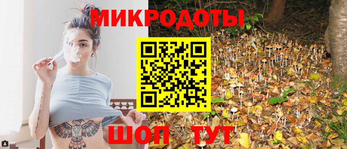 Псилоцибиновые грибы мицелий Елабуга